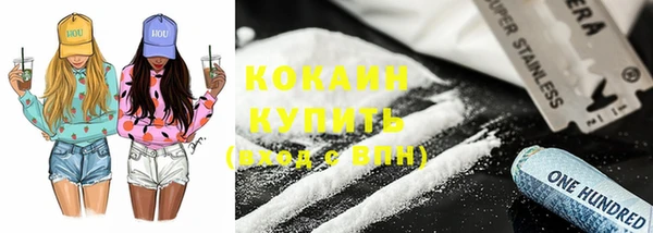 гашик Аркадак