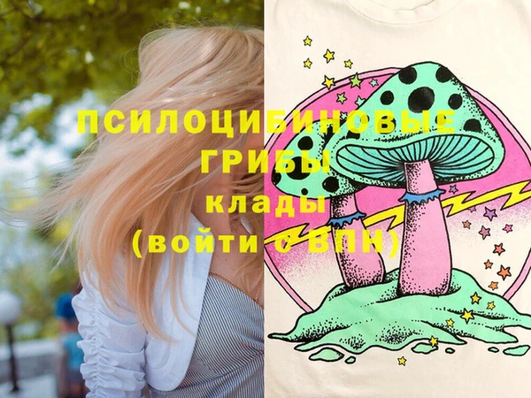 дмт Арсеньев
