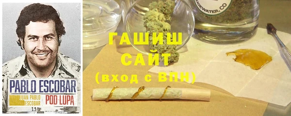гашик Аркадак